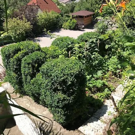 Haus Alexander
